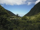 IAO Needle2