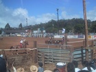 Rodeo